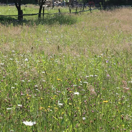 Kro Chudodievo In Chynadievo Mini-hotel Chynadiyovo