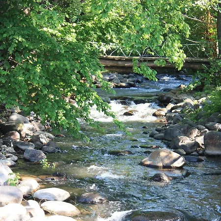 Gasthof Chudodievo In Chynadievo Mini-hotel *